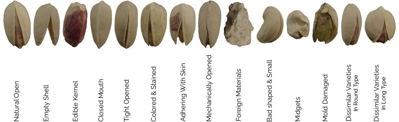 Iran Pistachio Specs iran pistachio specification items