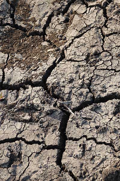 drought dry land | drought